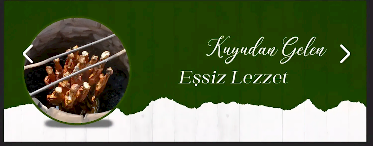 Çamlık Denizli Kebapçısı